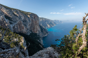 selvaggio-blu.jpg